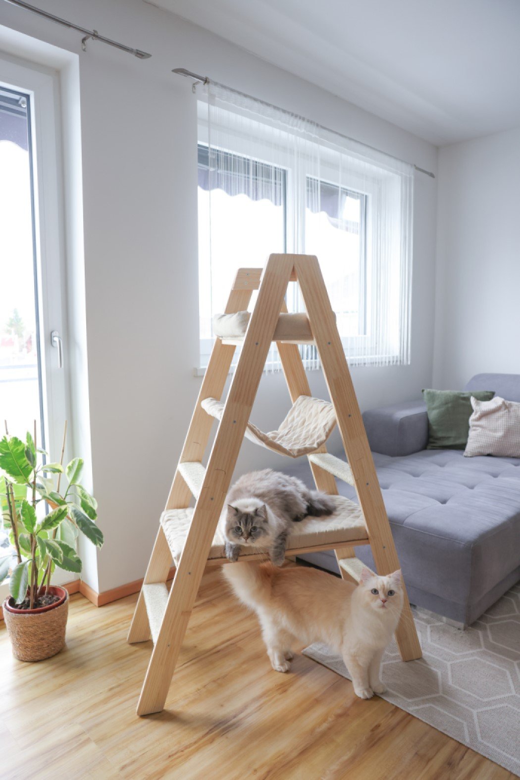 KERBL Arbre à chat Ladder