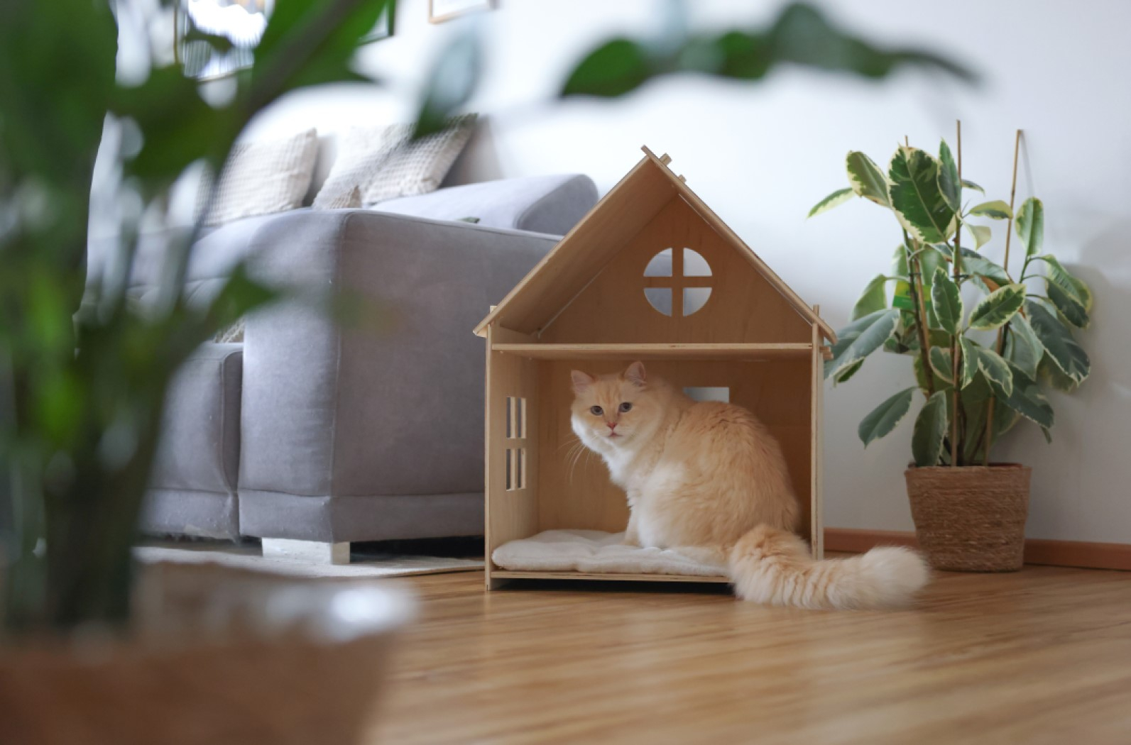 KERBL Maison pour chat d'intérieur Yvi