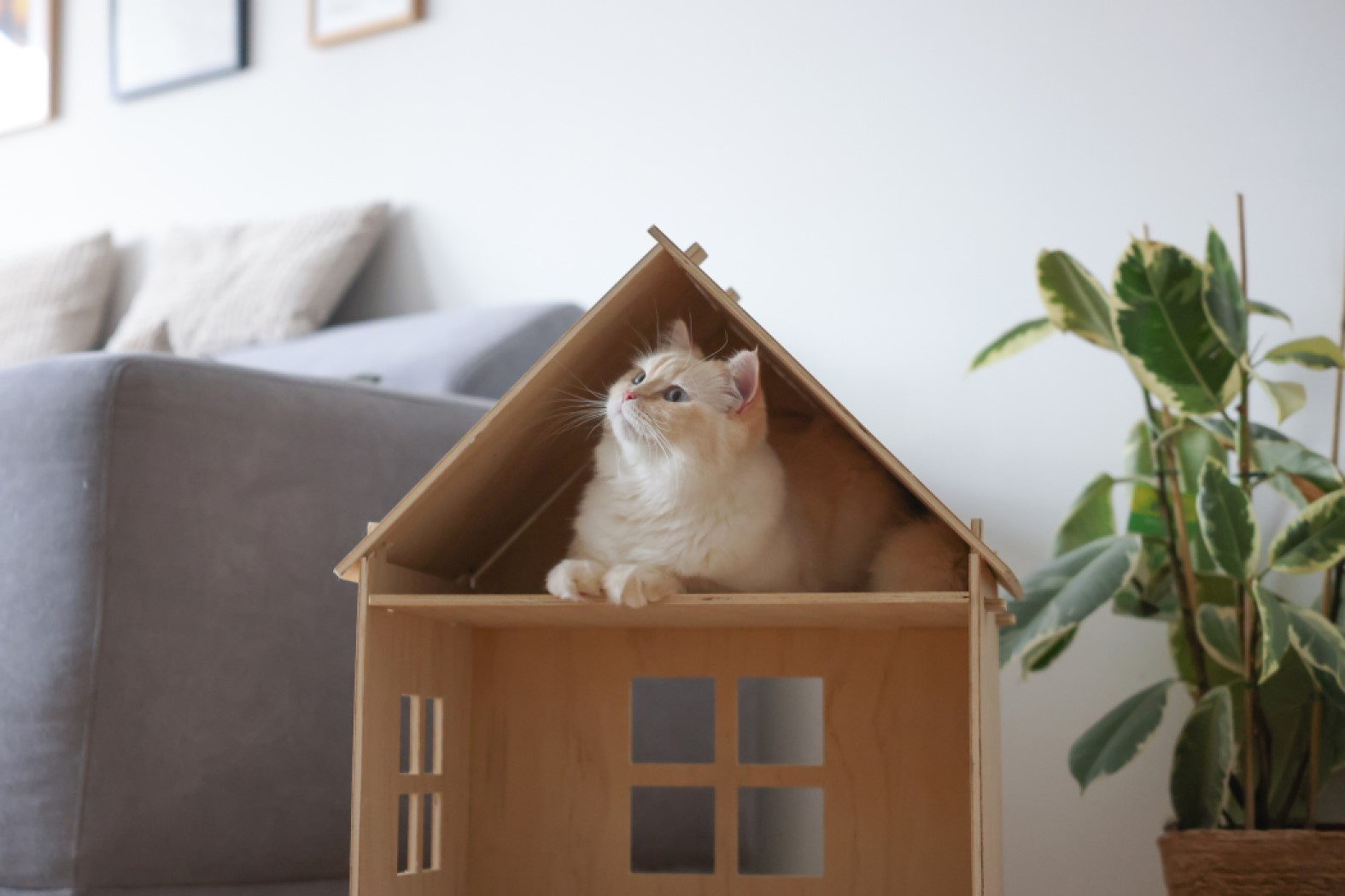 KERBL Maison pour chat d'intérieur Yvi