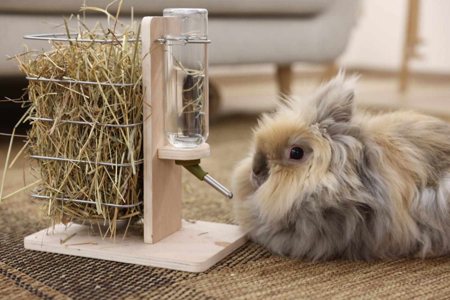 KERBL Trink- und Futterstation für Nagetiere