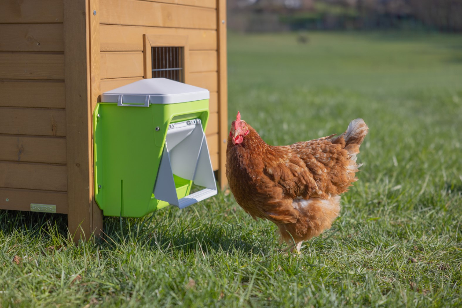 KERBL SmartCoop Alimentador para Aves