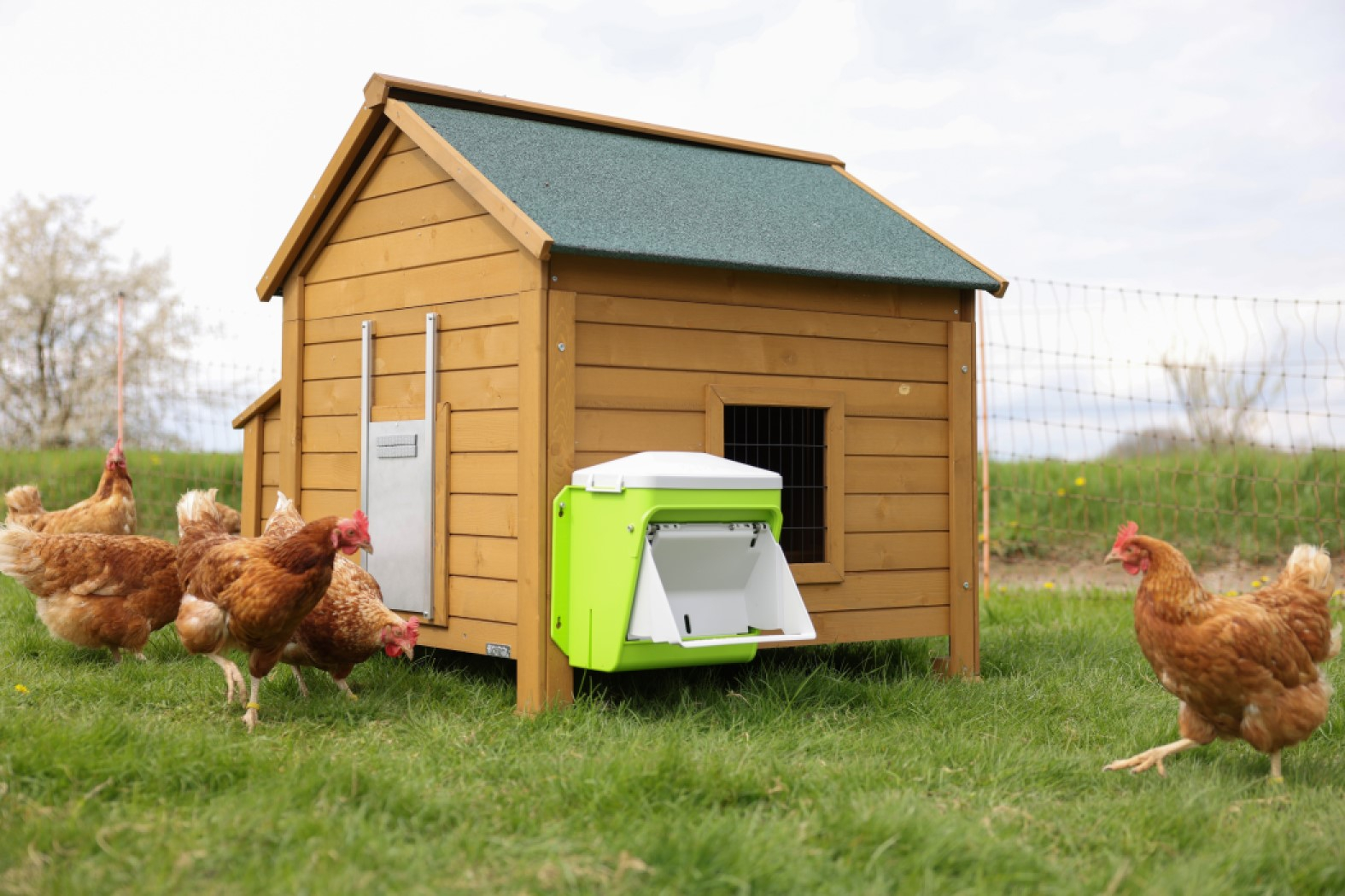 KERBL SmartCoop Alimentador para Aves