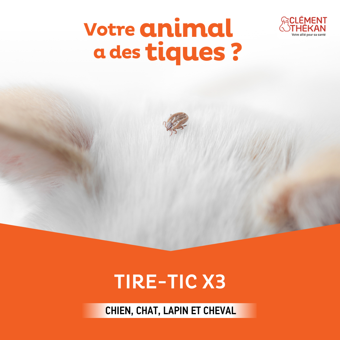 Clement Thekan Tire-tic x3