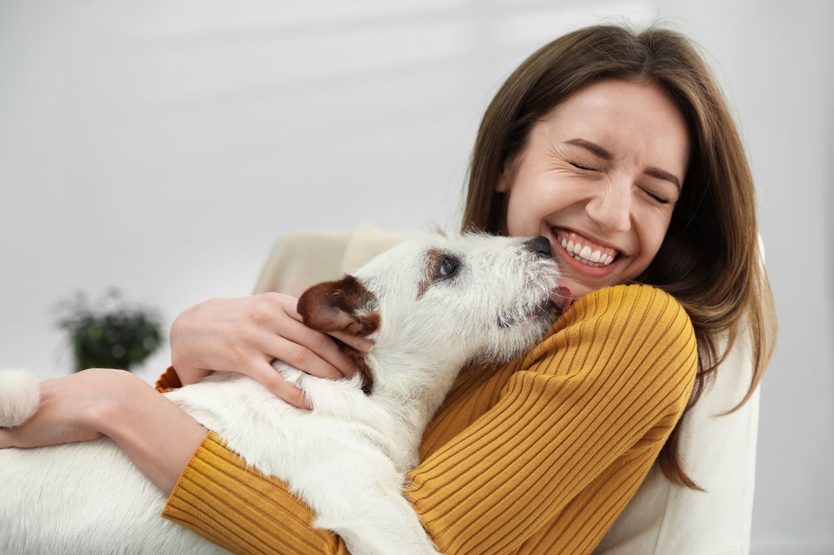 Amity-Croquettes-Petits-Chiens