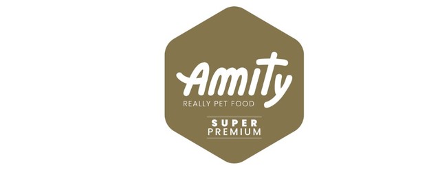 Logo-Amity