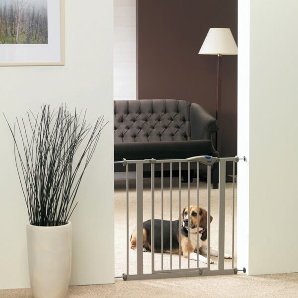 Barriere pour chien extensible structure bois et métal H50cm