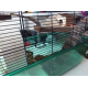 Cage-Habitat-XL-pour-hamster-et-gerbille_de_Nicolas_5708065615b5740de7ae140.45355006