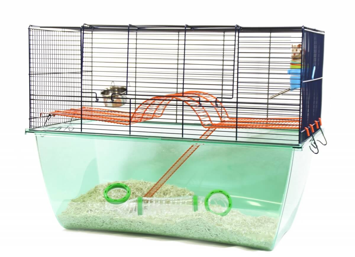 Animali Piccoli animali Habitat Cage pour hamster/ gerbilles gabbie e accessori 