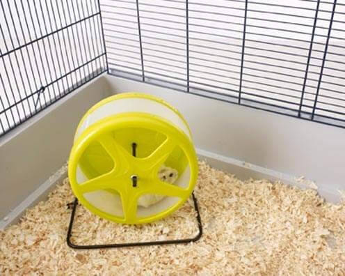 Roda de exercício para roedores 