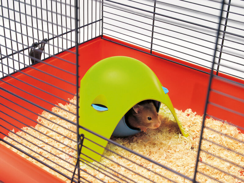 Casa para pequenos animais roedores 