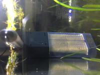 Filtre-interne-d'angle-Dennerle-Nano-Clean-pour-mini-aquariums_de_Leo_3254704275ad4c43da80e22.33039662