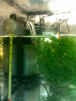 15401_Filtre-d'angle-interne-Nano-Clean-XL,-pour-aquariums-jusqu'à-60-litres_de_SERGE_160482074255e2cd12cad422.25002623