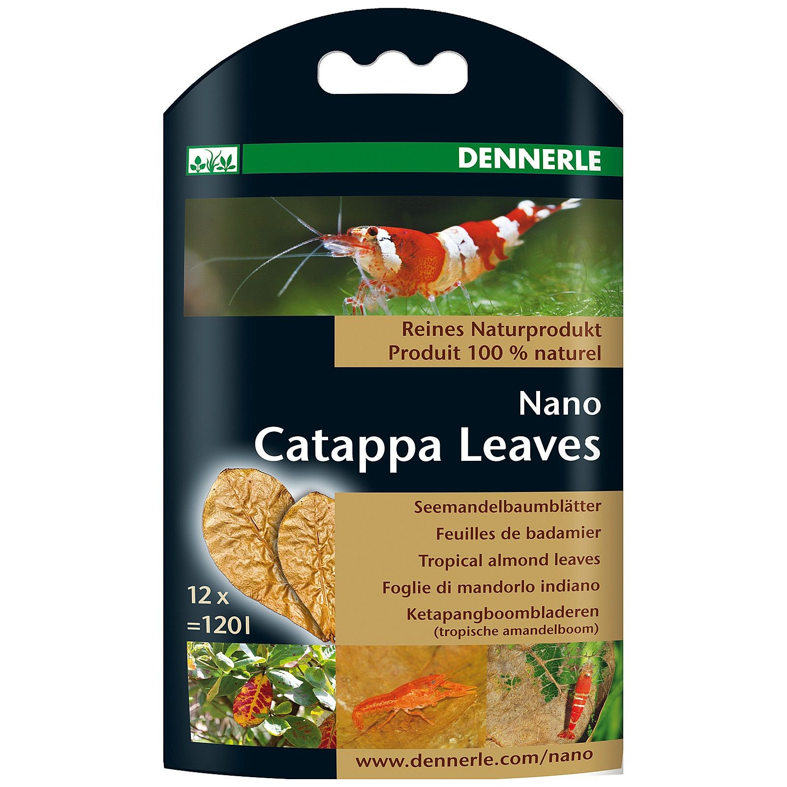 DENNERLE Nano Catappa Leaves para a manutenção natural da água e suplemento alimentar