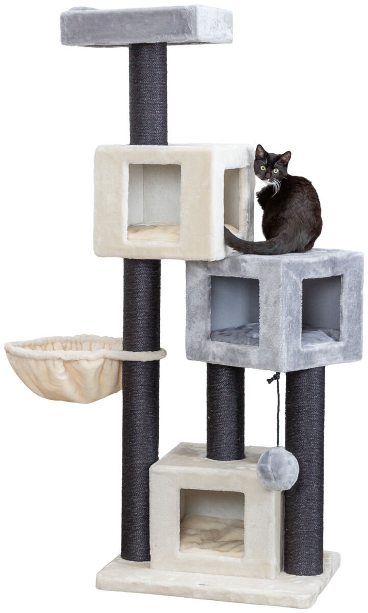 Árbol para gatos - 156 cm - Trixie Enzo