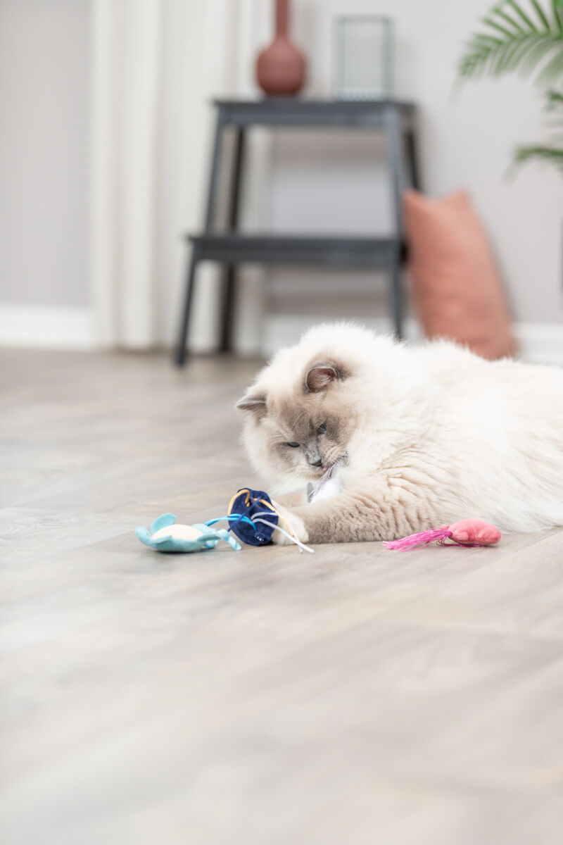 Peluche animaux marins avec herbe à chat Trixie