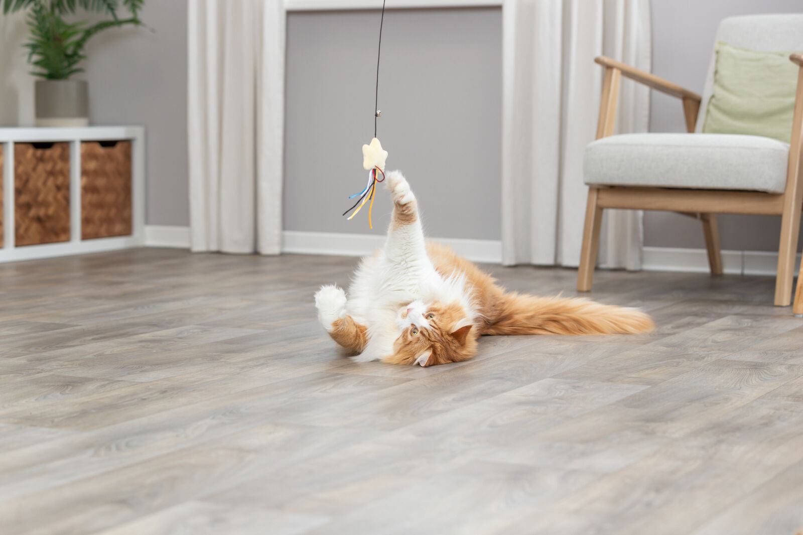 Vara de pesca de plástico Estrela para Gato - 46 cm