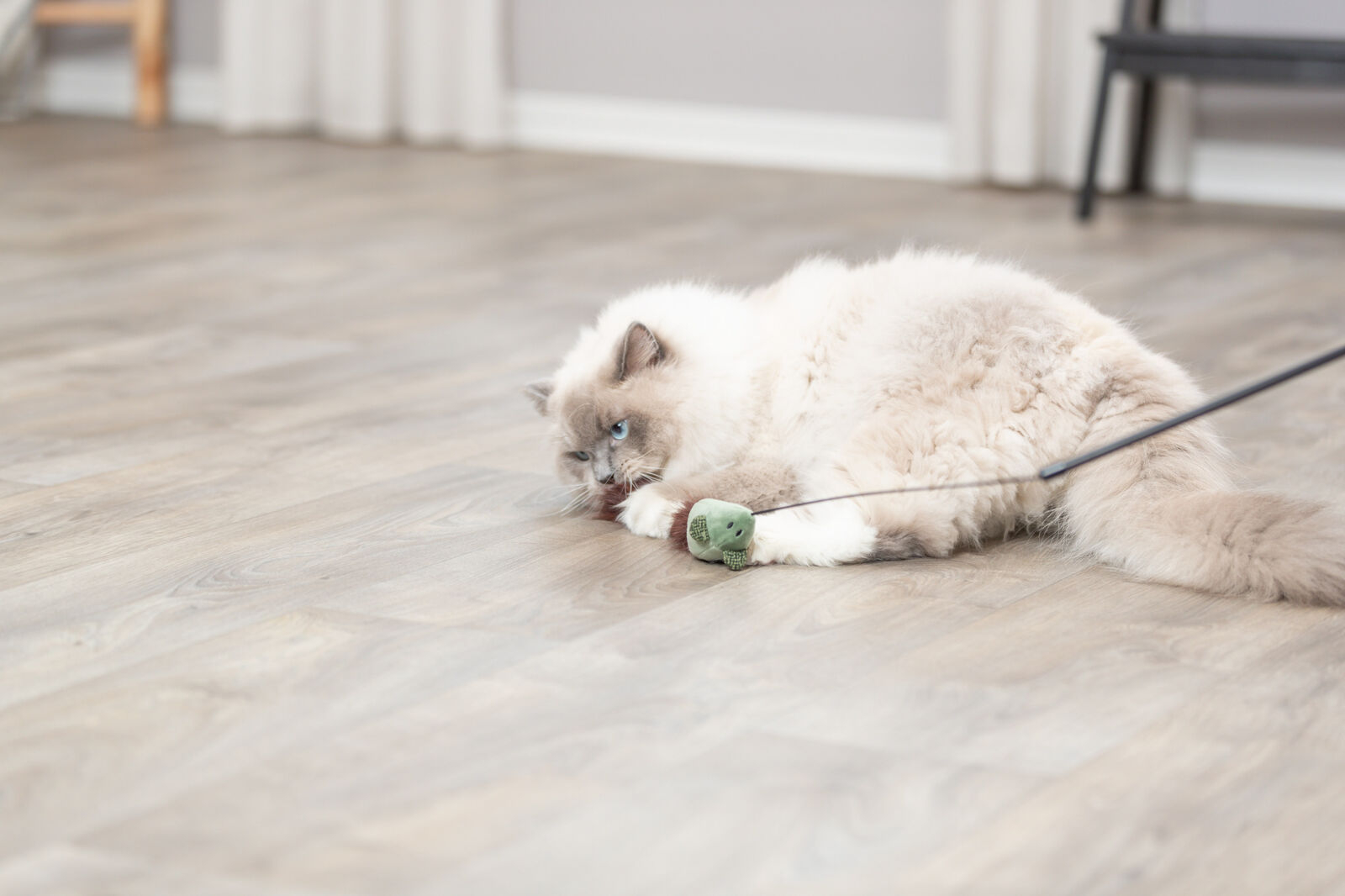 Canne à pêche en plastique Souris pour chat 