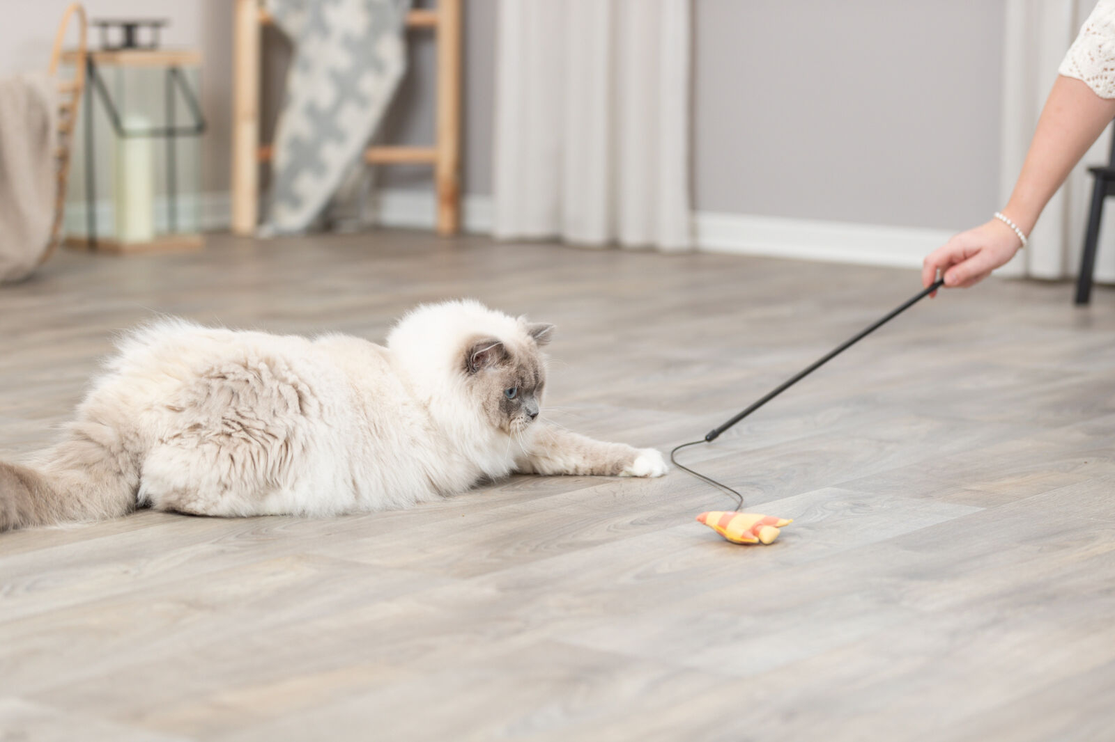 Canne à pêche en plastique Poisson pour Chat - 46 cm