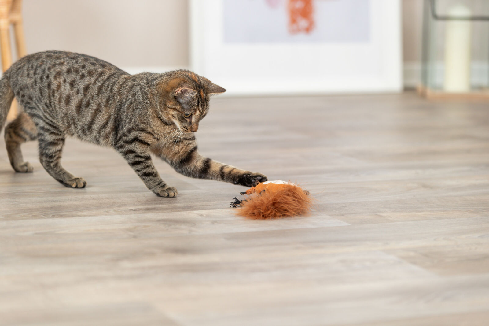 Peluche Écureuil avec herbe à chat Trixie