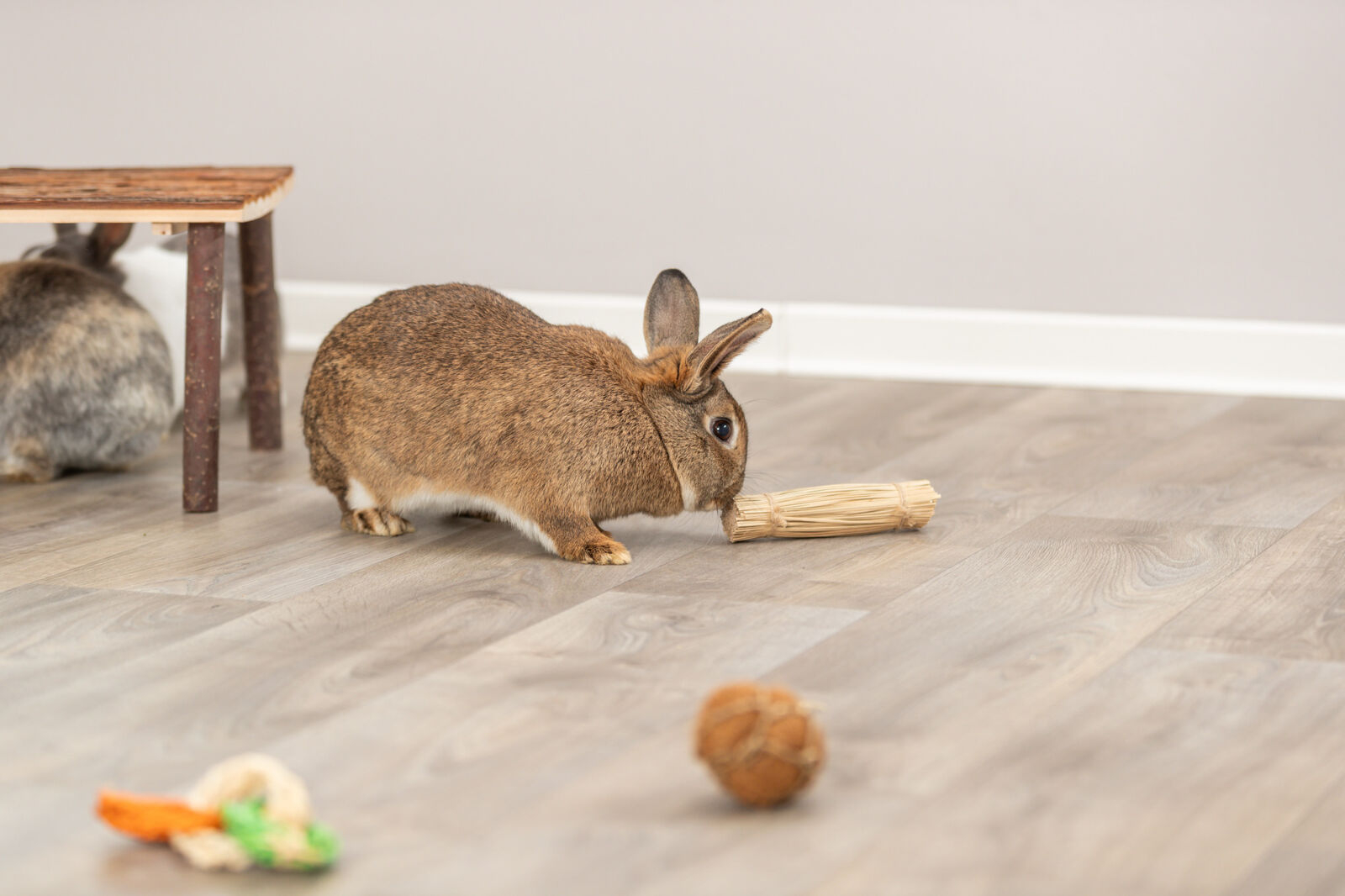 Spielzeug aus Gras mit Jute für Nagetiere