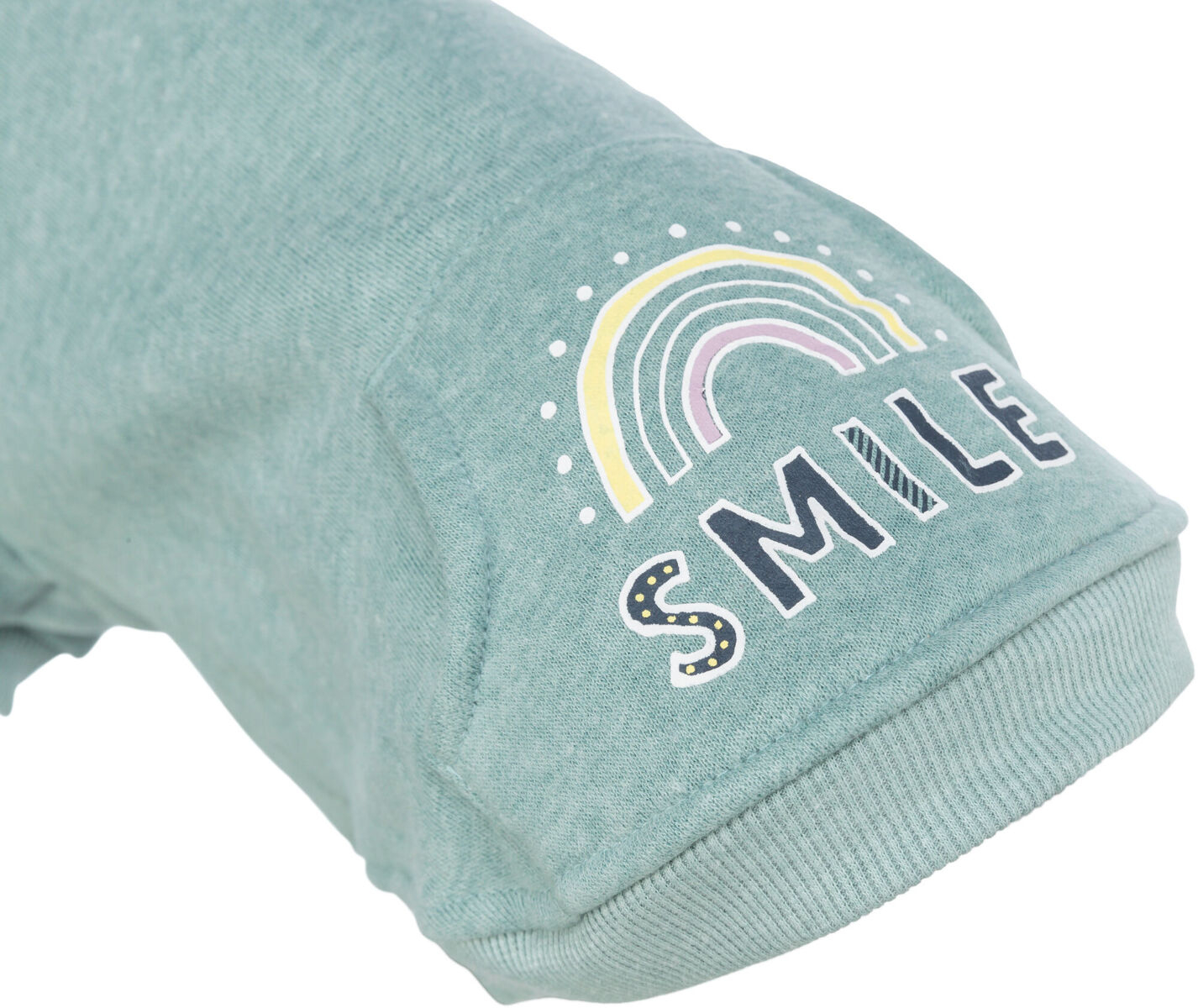 Suéter Littleton color menta con motivo arcoíris para Perro Pequeño - Talla XXS a S