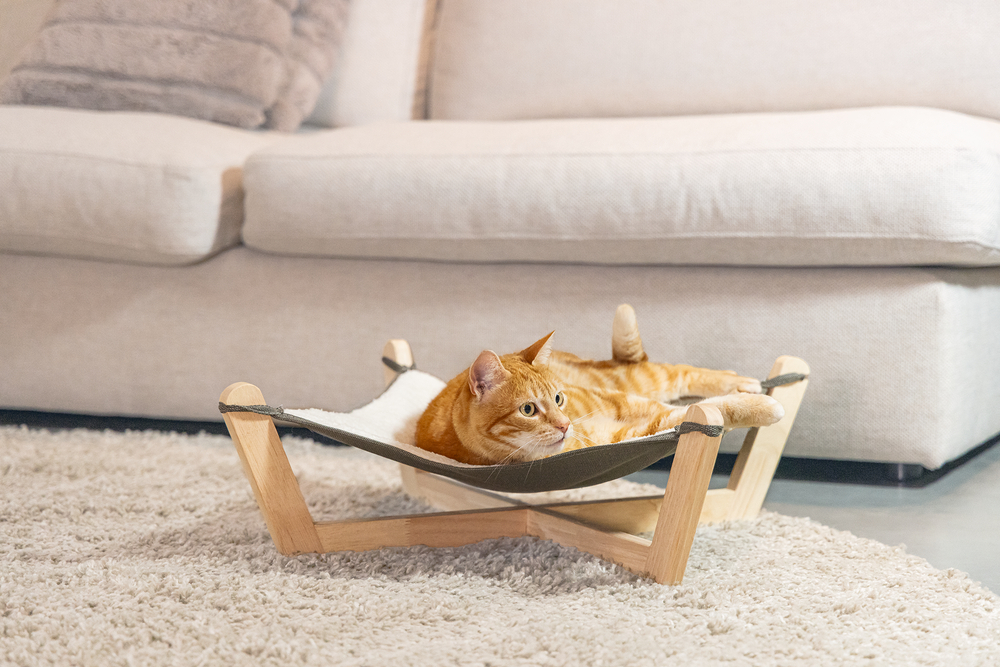 Hamac GAIA pour chat