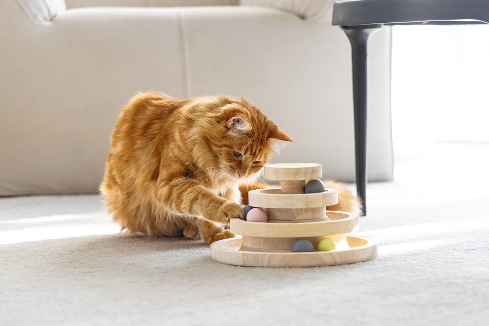 Torre de jogo Mia em madeira para gato