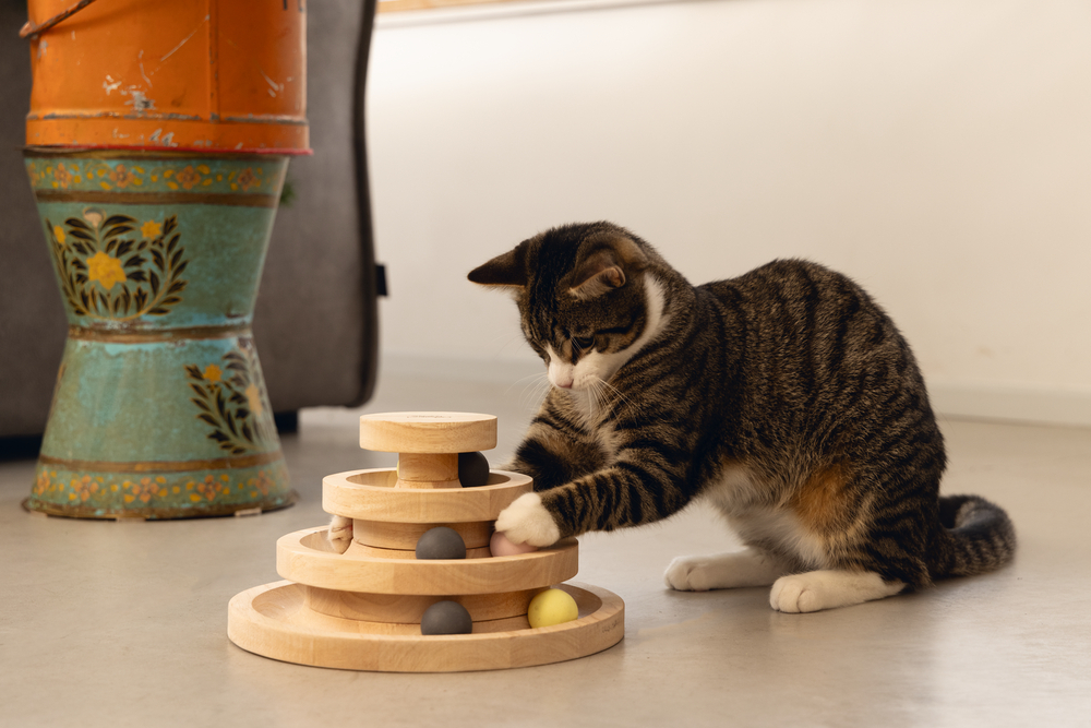 Torre de jogo Mia em madeira para gato