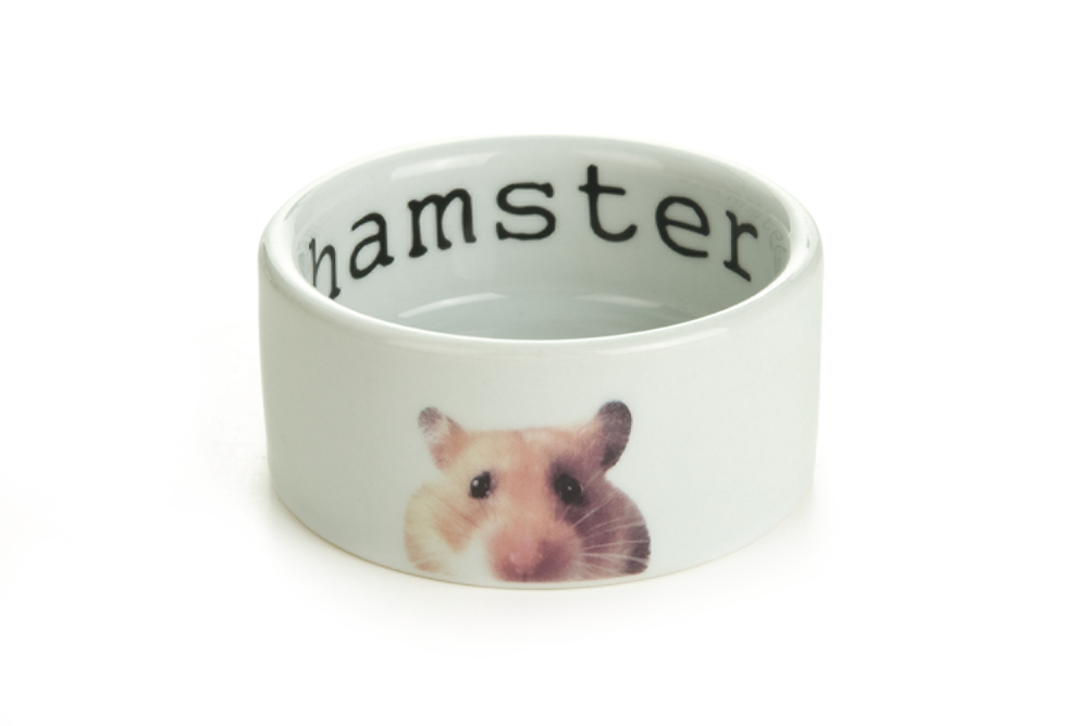 BEEZTEES Comedero SNAPSHOT para Hamster - Conejo y Cobaya