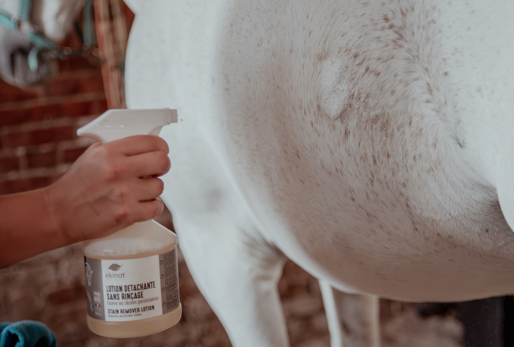 EKINAT Lotion détachante sans rinçage pour chevaux