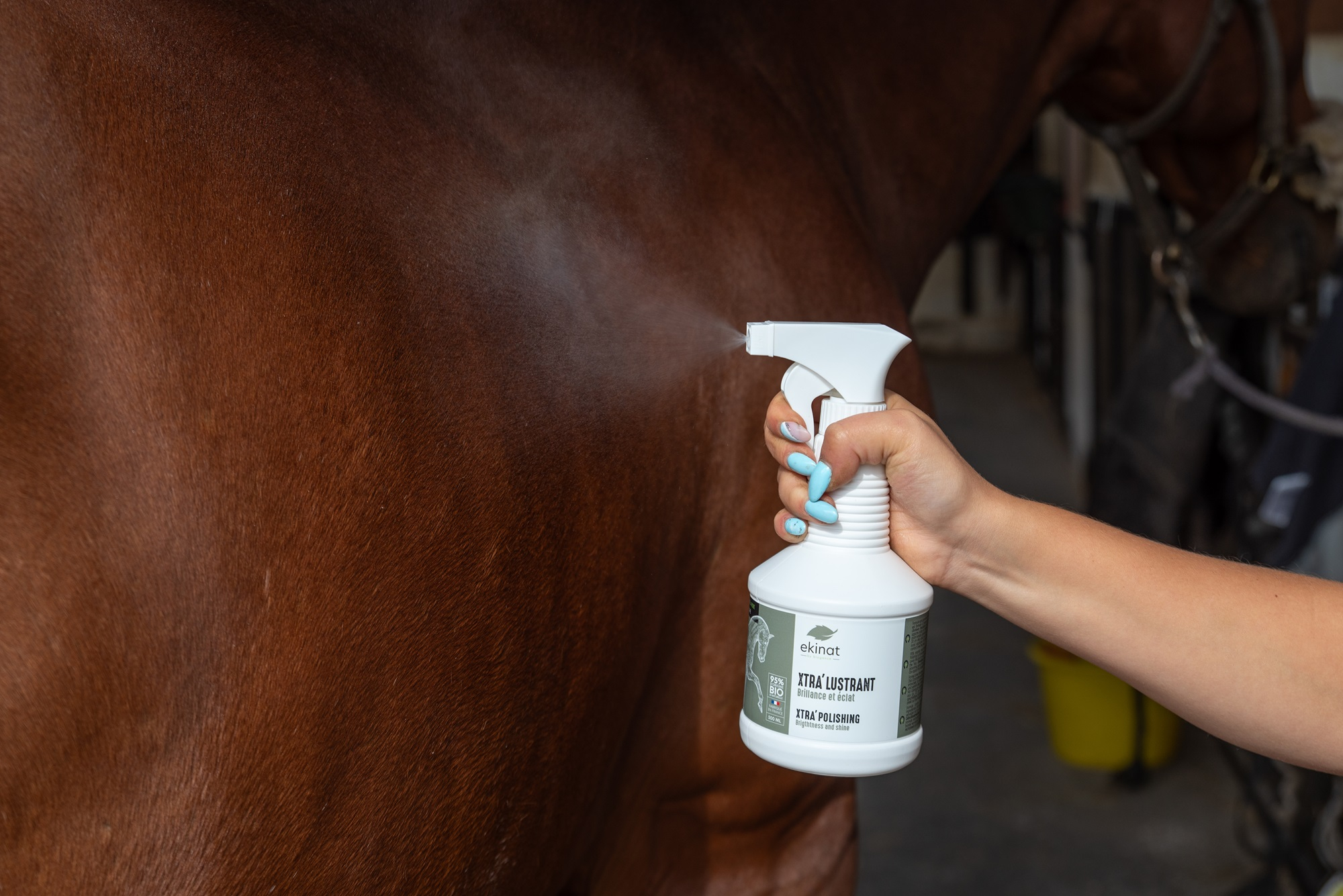 EKINAT Spray Xtra' Lustrant voor paarden