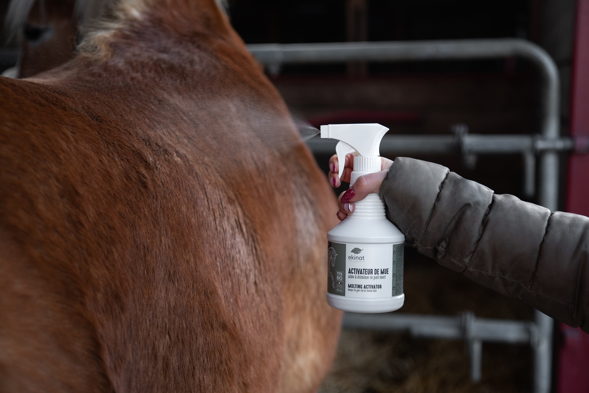 EKINAT Spray ativador de muda para cavalos