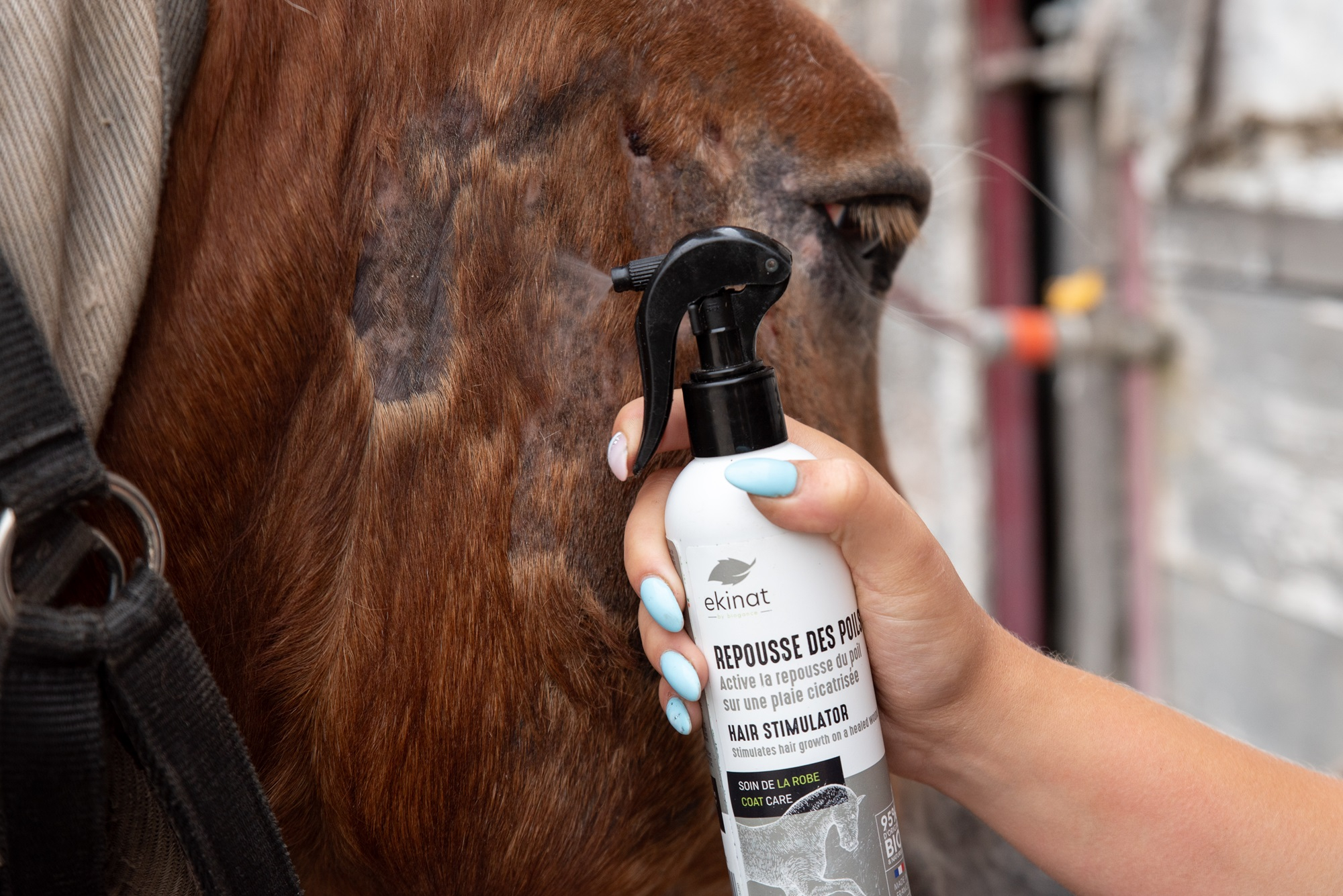 EKINAT Spray repulsivo para el crecimiento del pelo en caballos