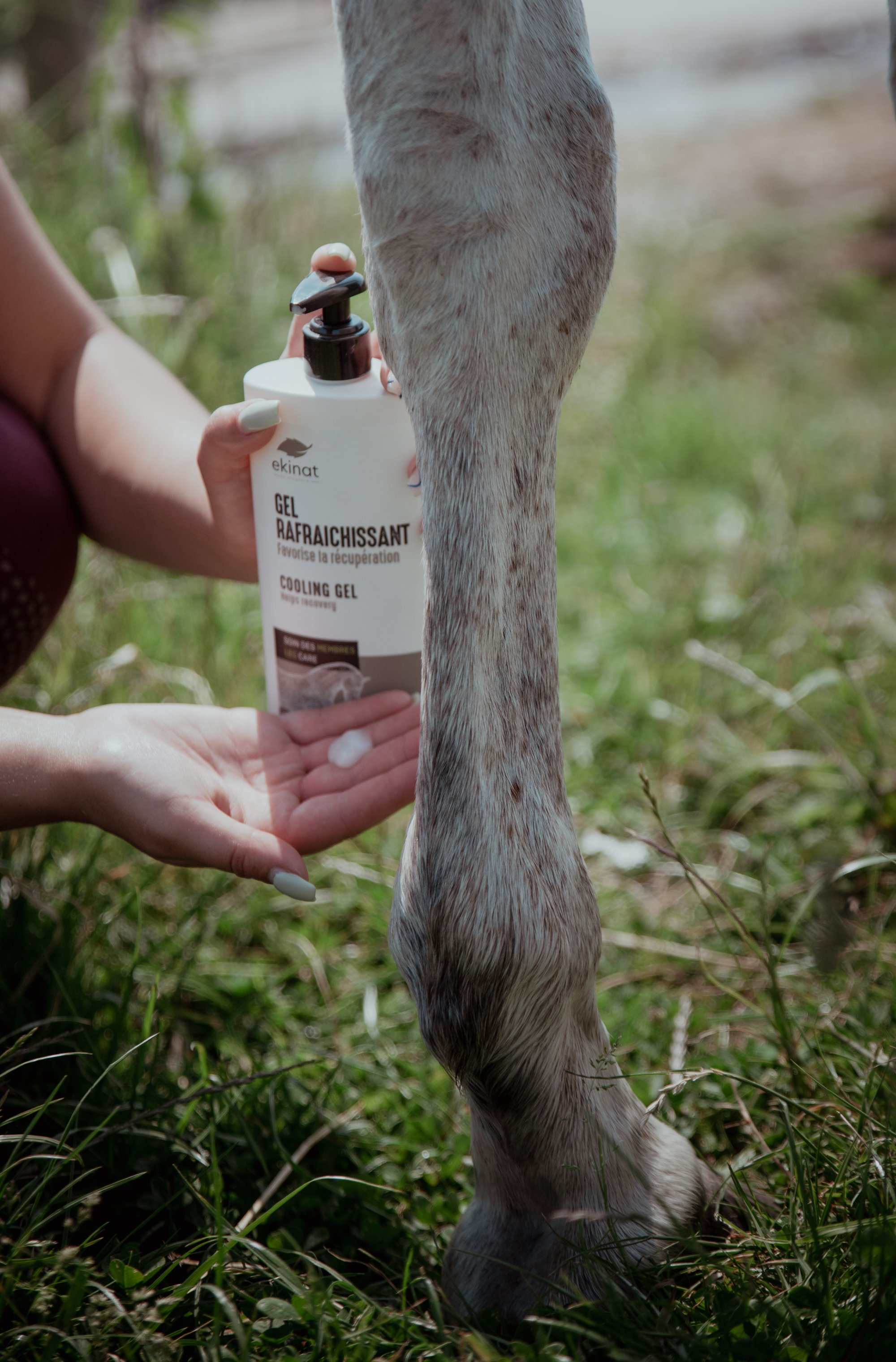 EKINAT Gel refrescante para caballos