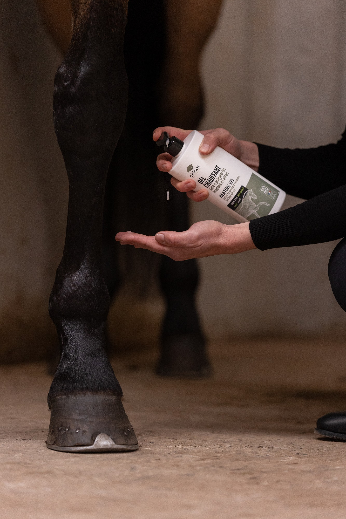 EKINAT Gel Chauffant pour chevaux