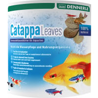 Catappa Leaves Hojas de Almendro para acuarios