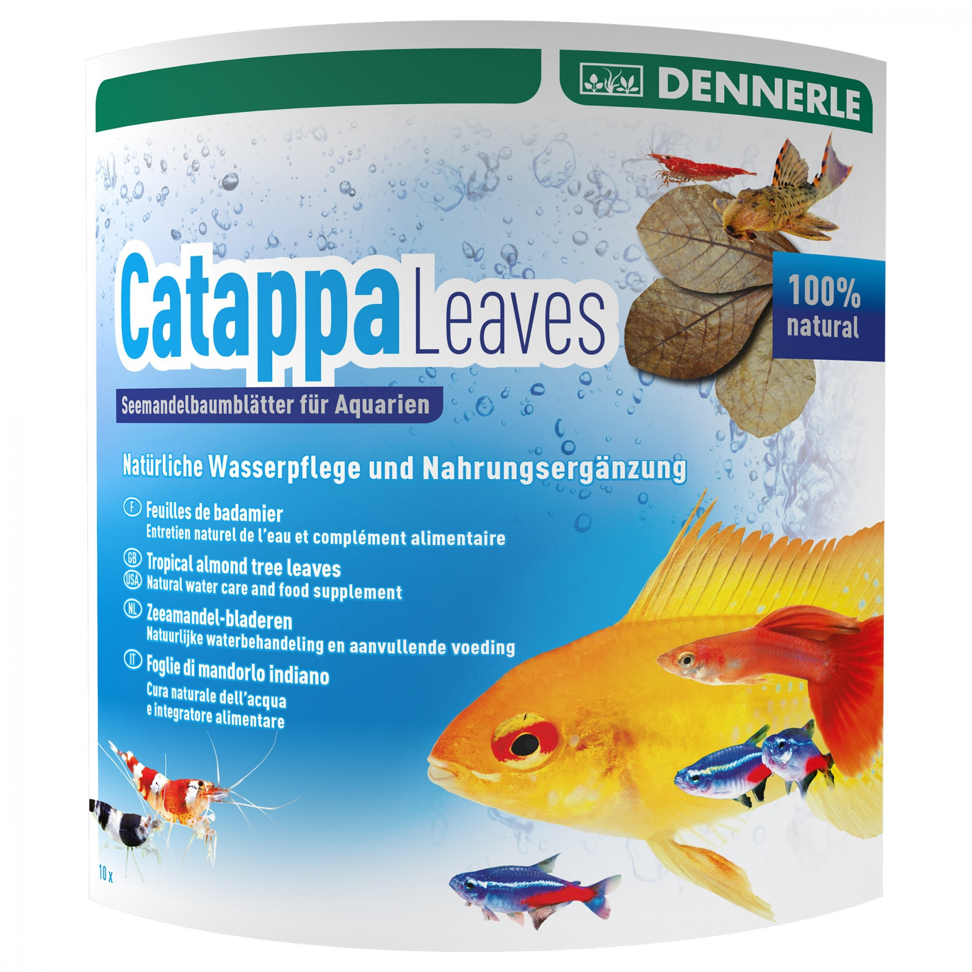 Catappa Leaves - Seemandelbaumblätter –
