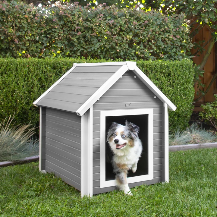 Niche Bunkhouse avec chien