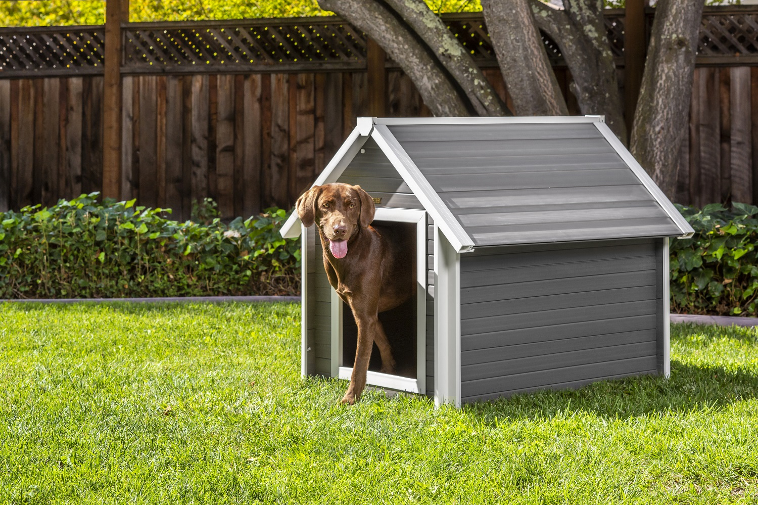 Hundehütte New Age Pet Bunkhouse - in verschiedenen Größen erhältlich