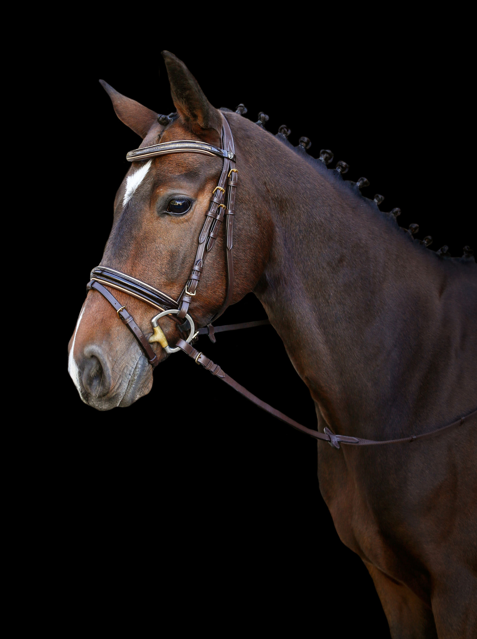 Bridon Kingston combiné anglais brun orné de strass pour cheval - 3 tailles disponibles