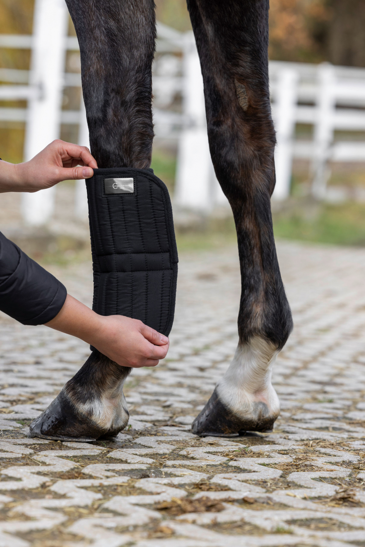 Paire de sous-bandes thermiques noires pour cheval - 2 tailles disponibles