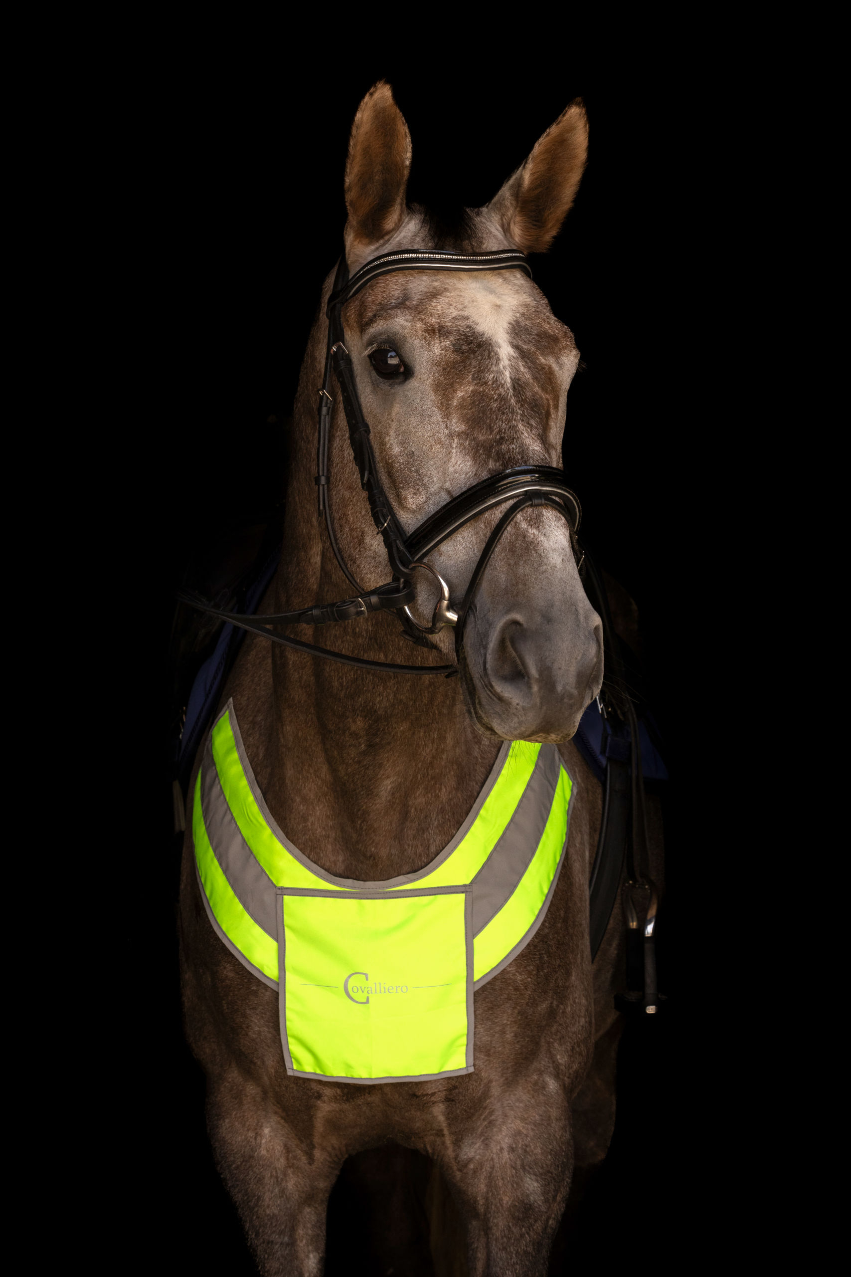 Reflecterende jachthalsband voor paarden