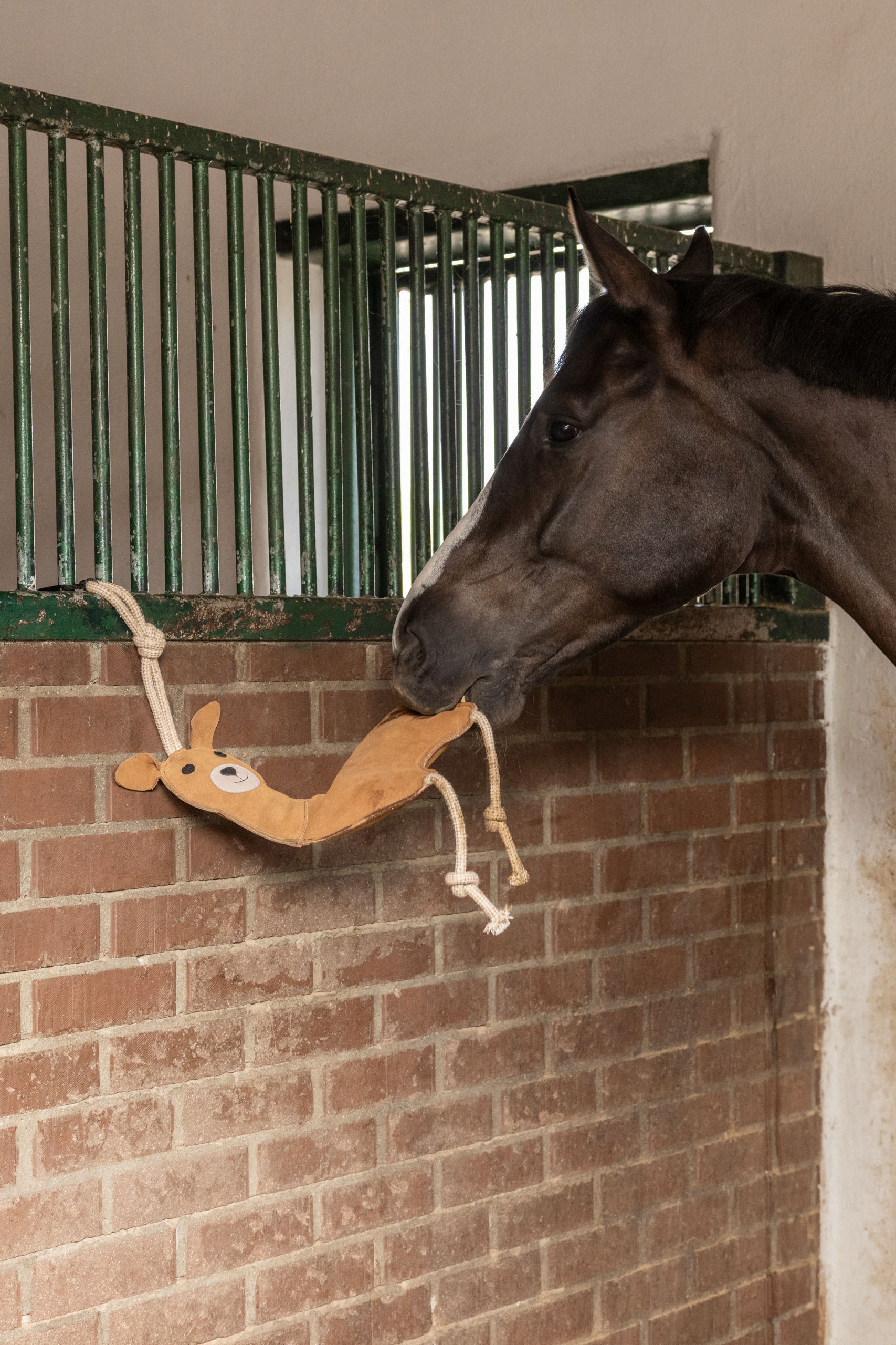 Speelgoed voor paarden lama