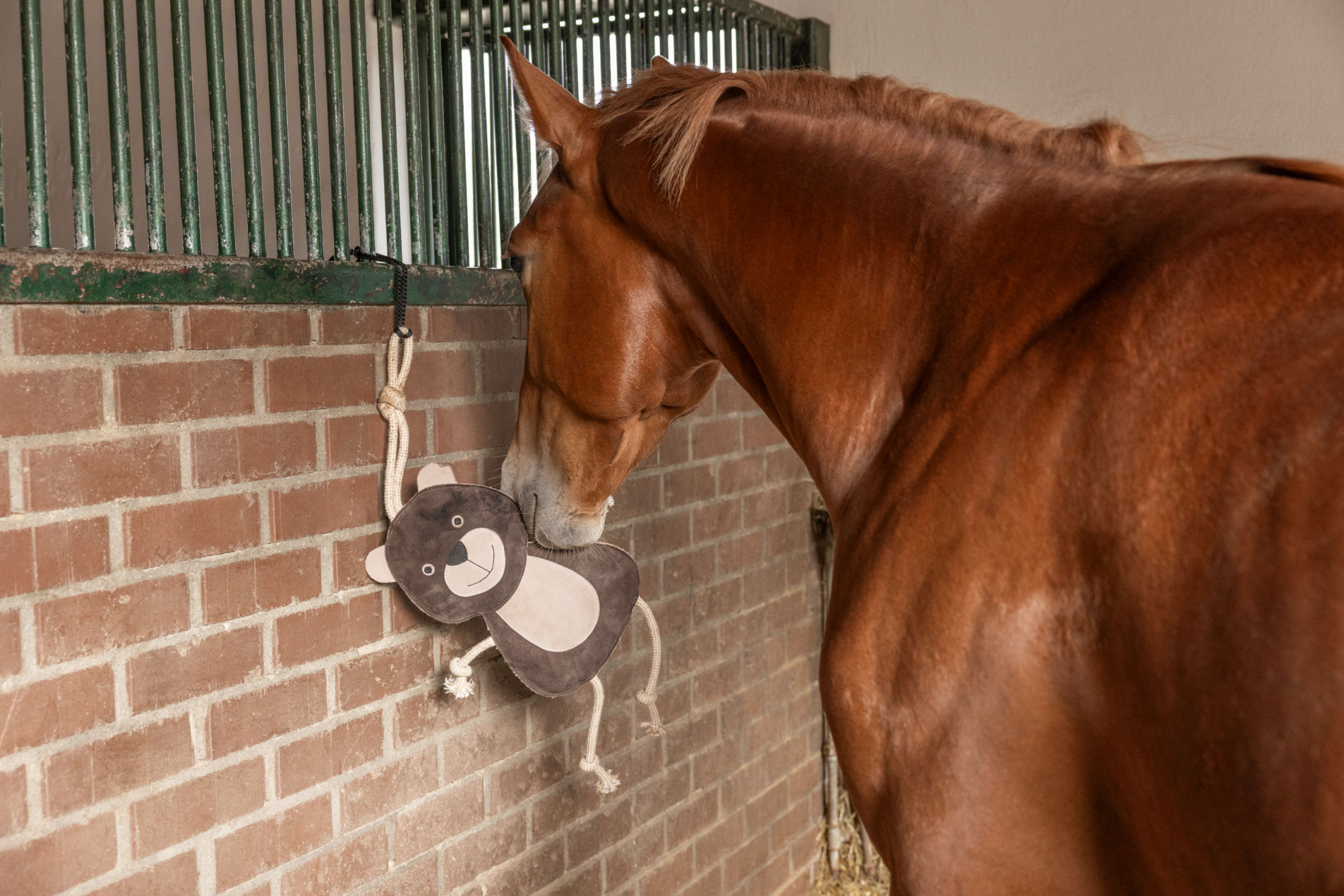 Speelgoed voor paarden Beer