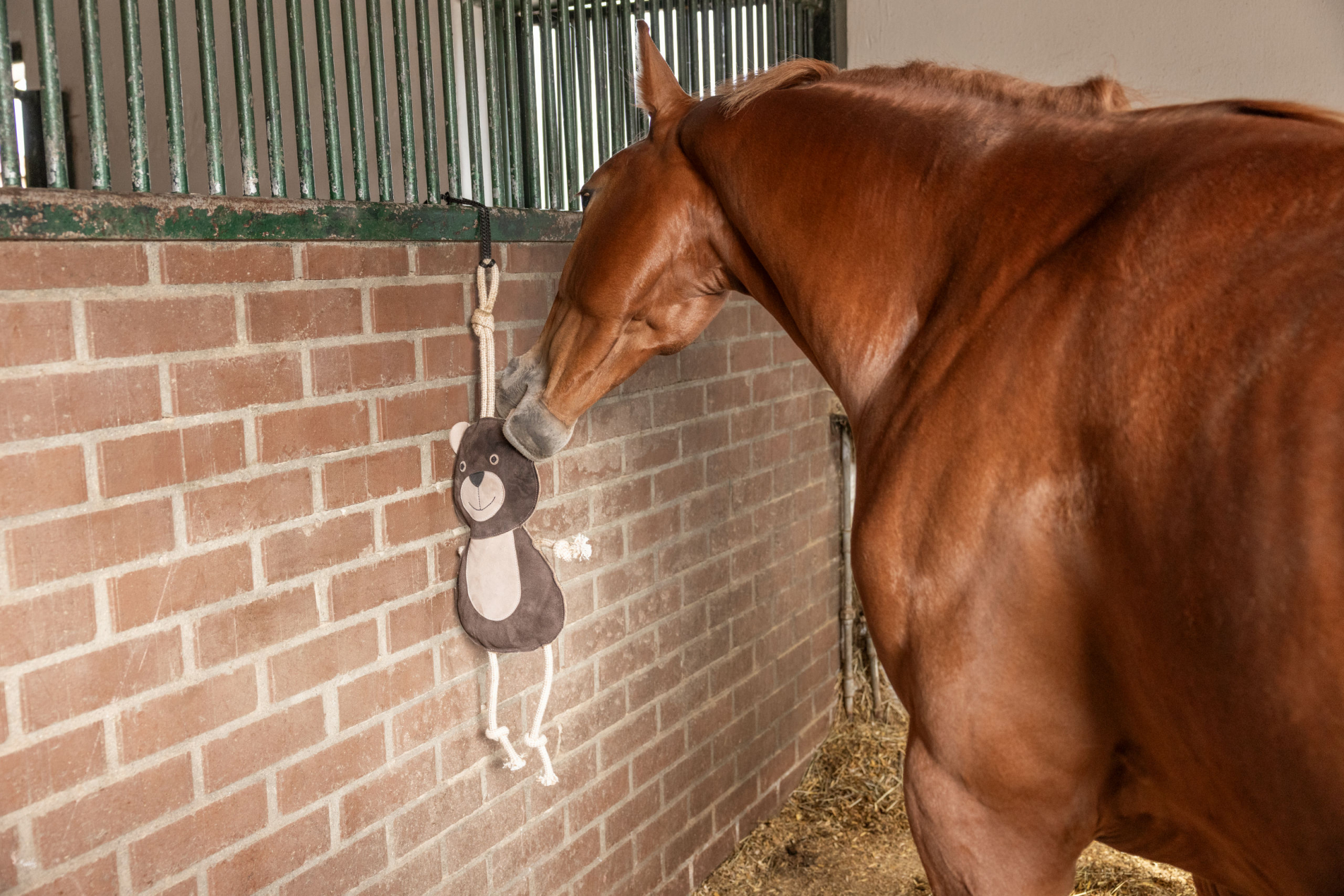 Speelgoed voor paarden Beer