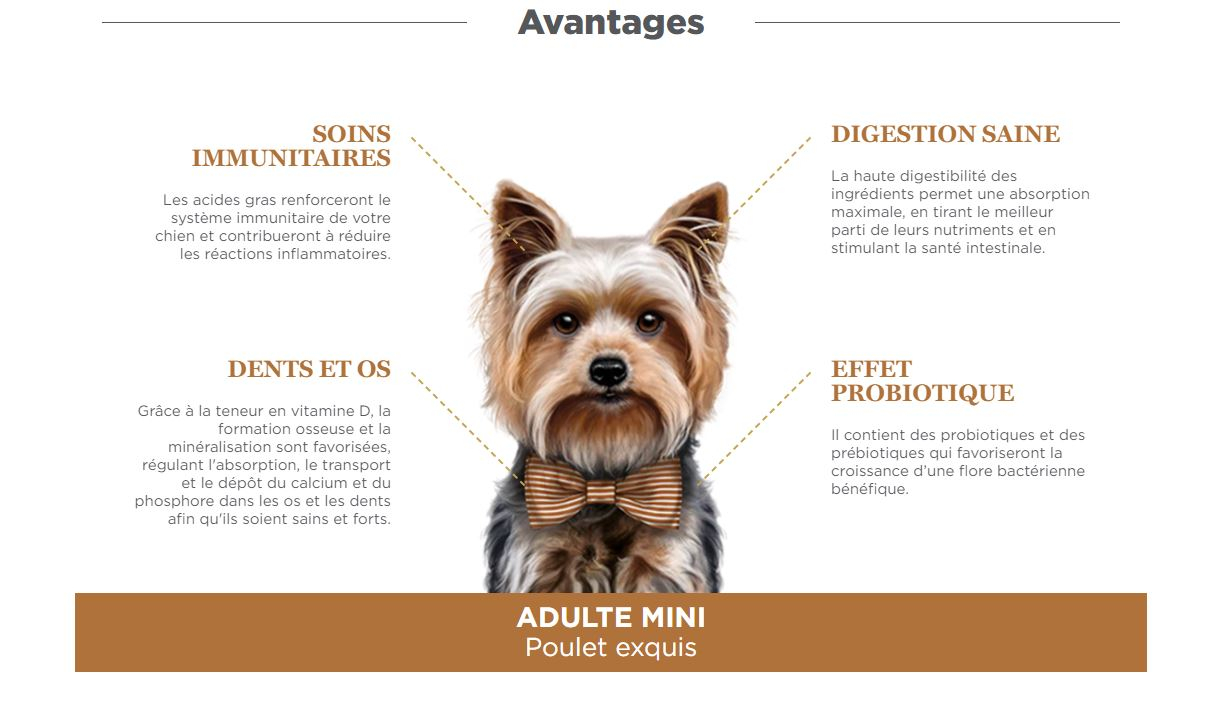 AMANOVA Mini Croquettes avec 70% de poulet frais pour Chien adulte de petite taille