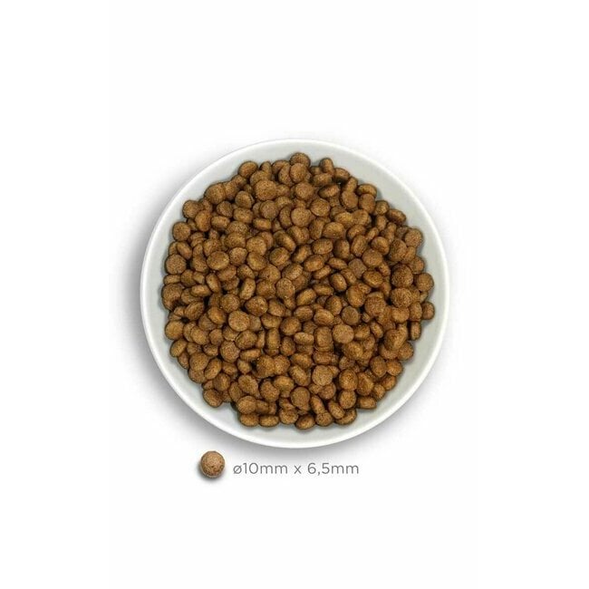 AMANOVA Mini Croquettes avec 70% de poulet frais pour Chien adulte de petite taille