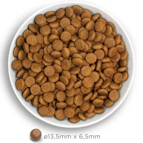 AMANOVA Medium Croquettes avec 71% de poulet frais pour Chien adulte de taille moyenne