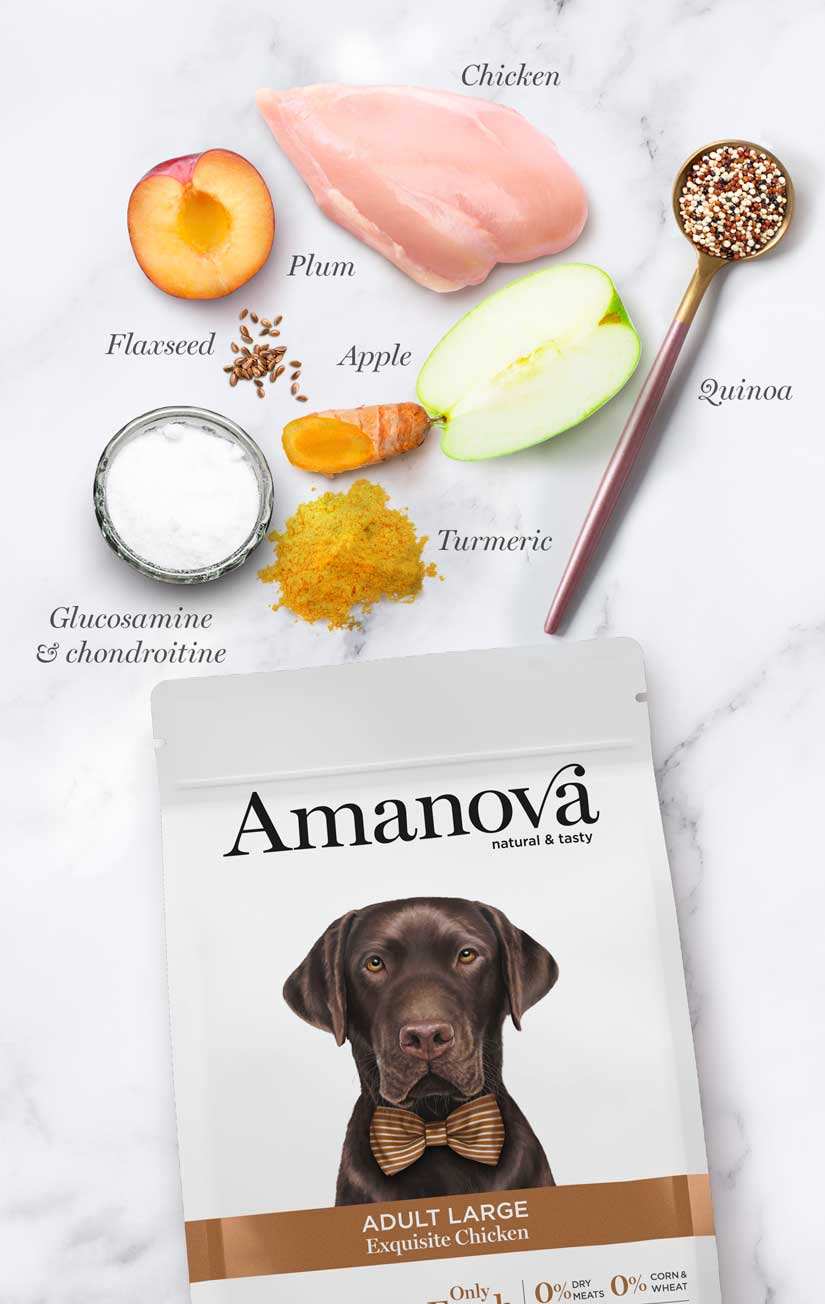 AMANOVA Croquettes Large com 68% de frango fresco para Cão adulto de grande porte