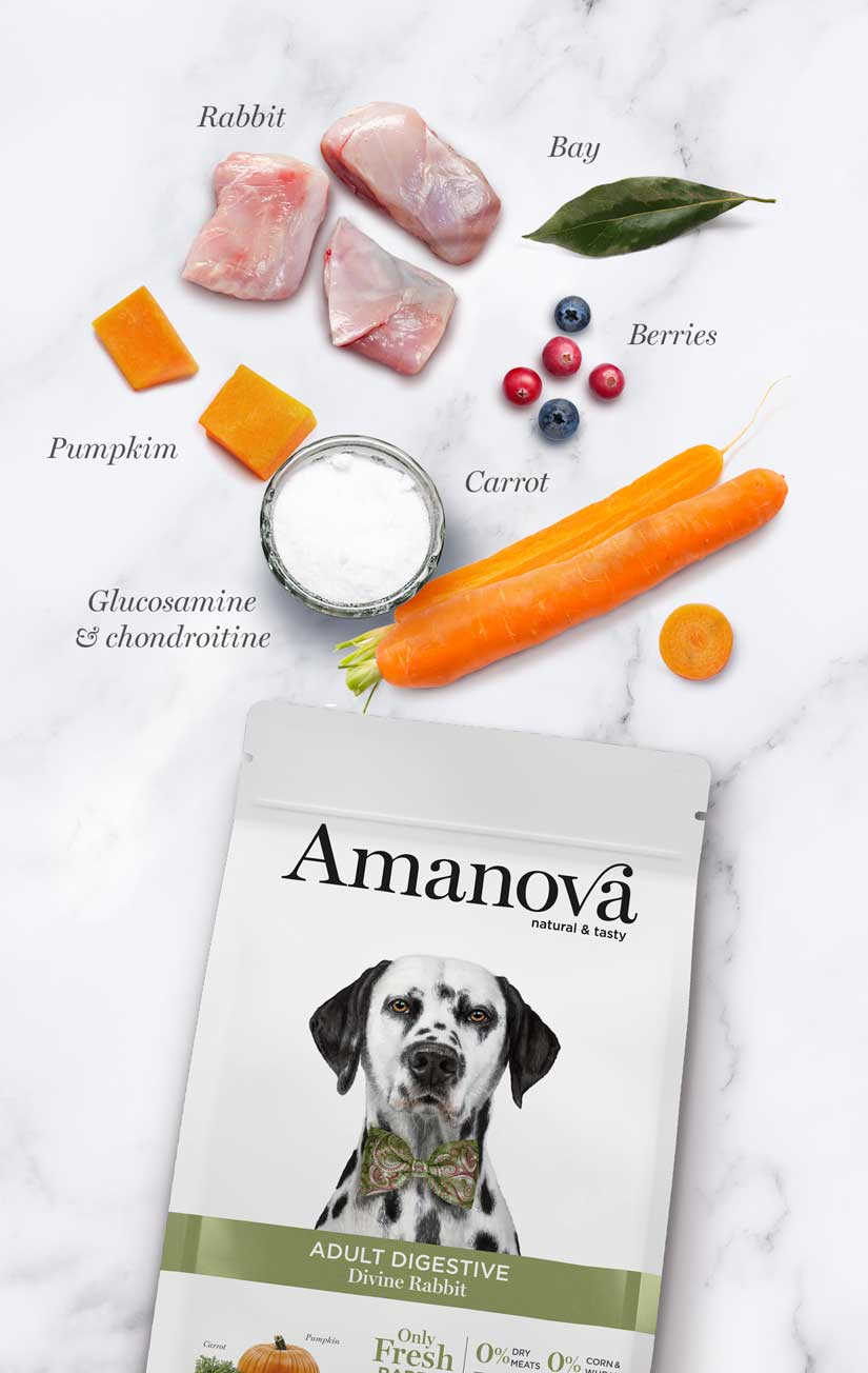 AMANOVA Digestive Croquettes sans céréales avec 64% de lapin frais pour Chien adulte